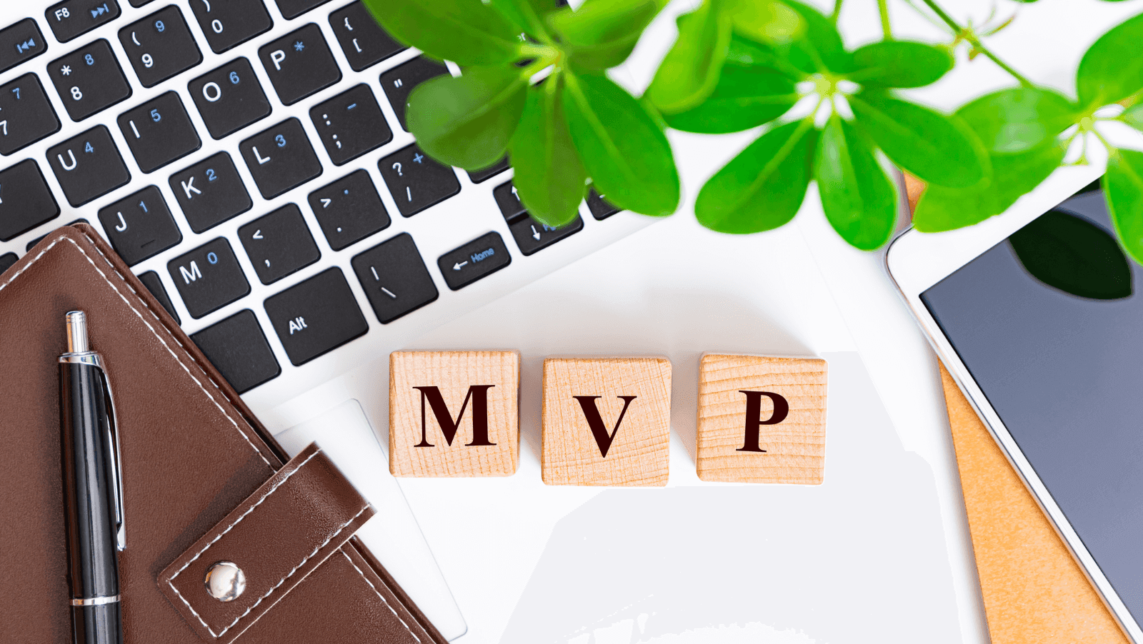 Low Code App Development: Build an MVP that attracts funding