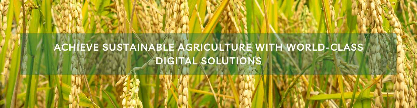 63dbbc15d8a7bc933b825e59 gukxwkuqx4 wb6k5hqgp1 gav w4urtmetmn0c3snqsumonqfyqrgswn3mdyraiod2a91evrzx pang9ah5i5qnzgem08ltqqw8l63vyrwtdlohu6uthpgf6myyf3xcxutd6 6oemepd5fjbo3oh xi 9760740