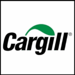 Minimum Viable Product